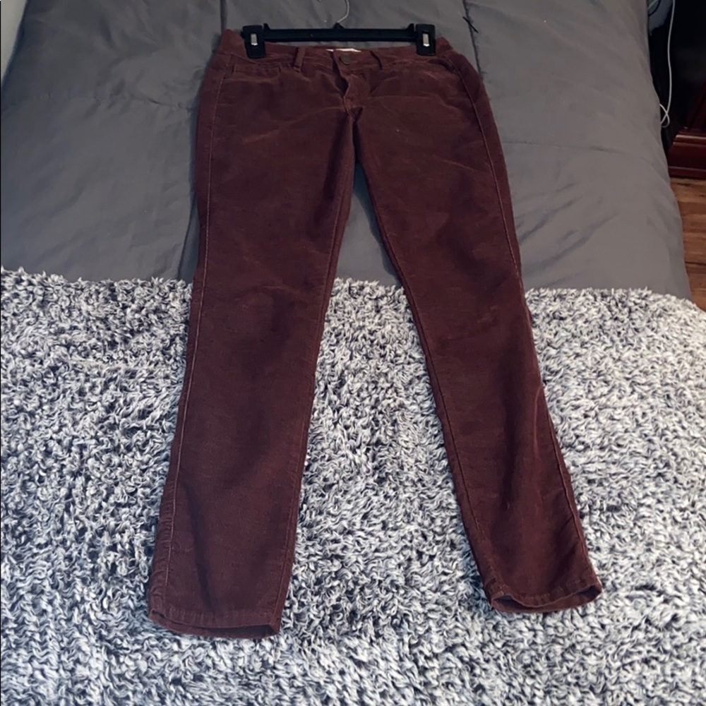 Brown Suede/Velvet Pants